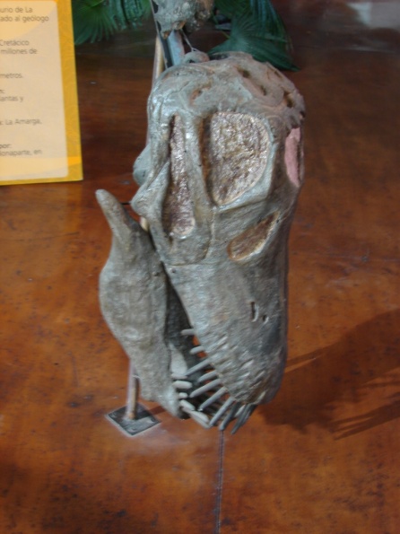 DSC04795