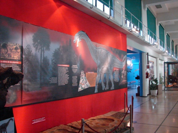 DSC04819