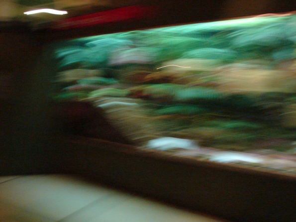 DSC04885