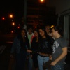 shamrock 008